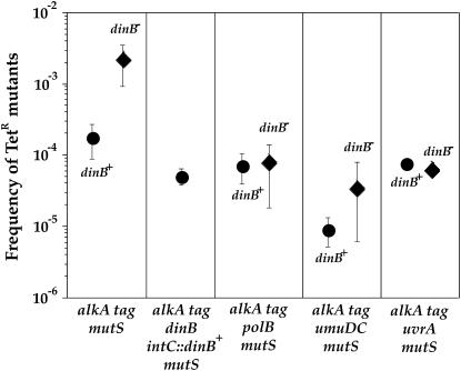 Figure 3.—