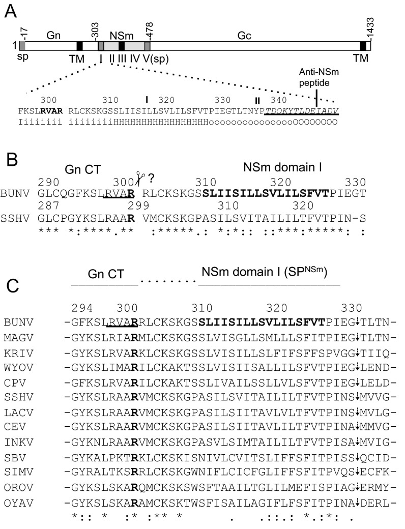 Fig. S1.