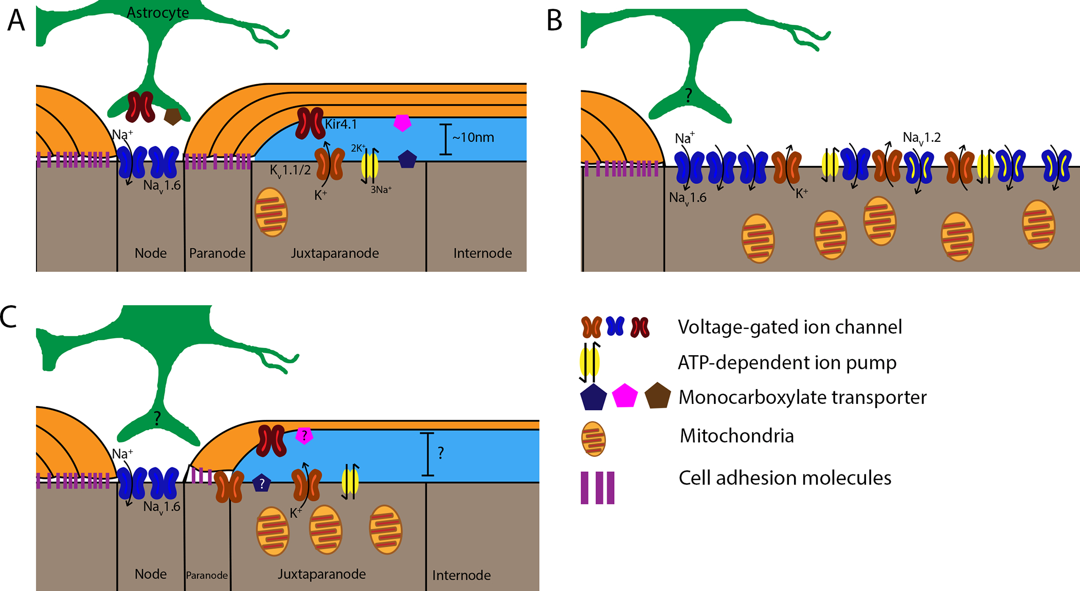 Figure 1: