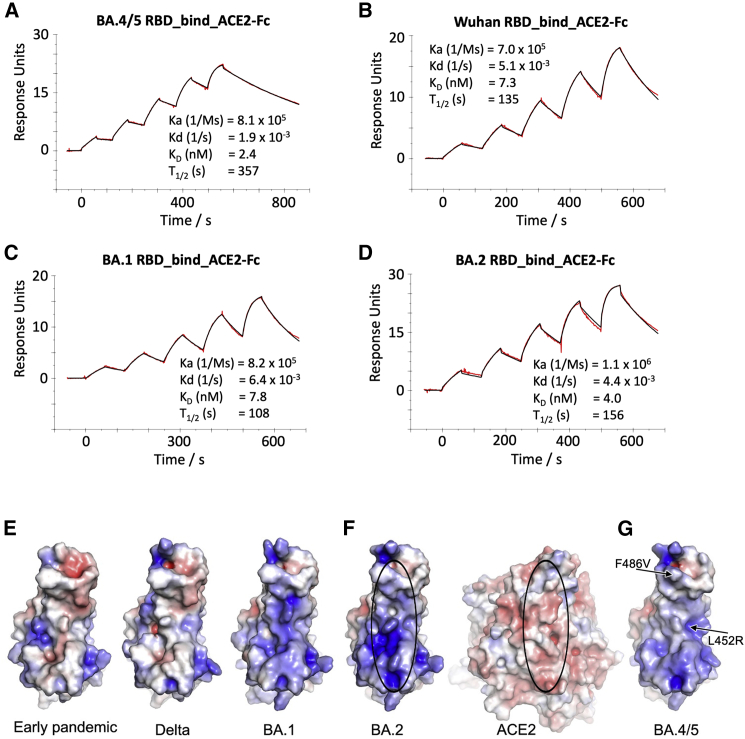 Figure 6