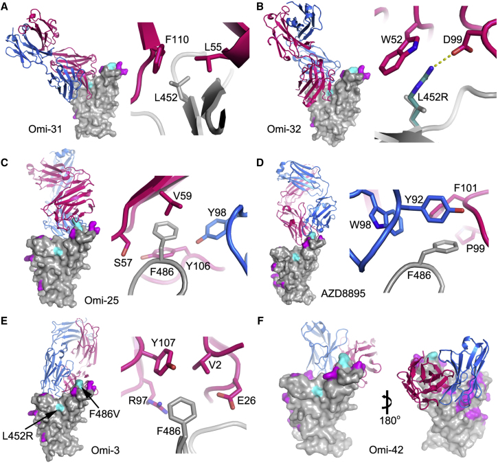 Figure 5