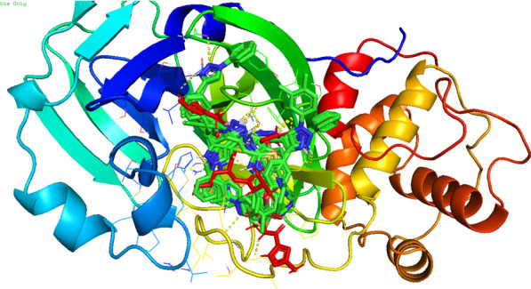 Fig. 7
