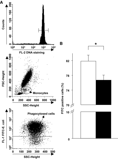 FIG. 2.