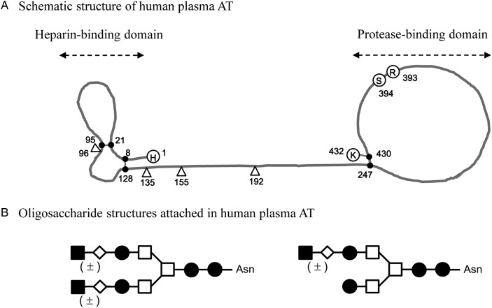 Fig. 1.