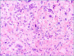 Figure 2C.