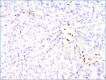 Figure 5B.
