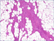 Figure 7A.