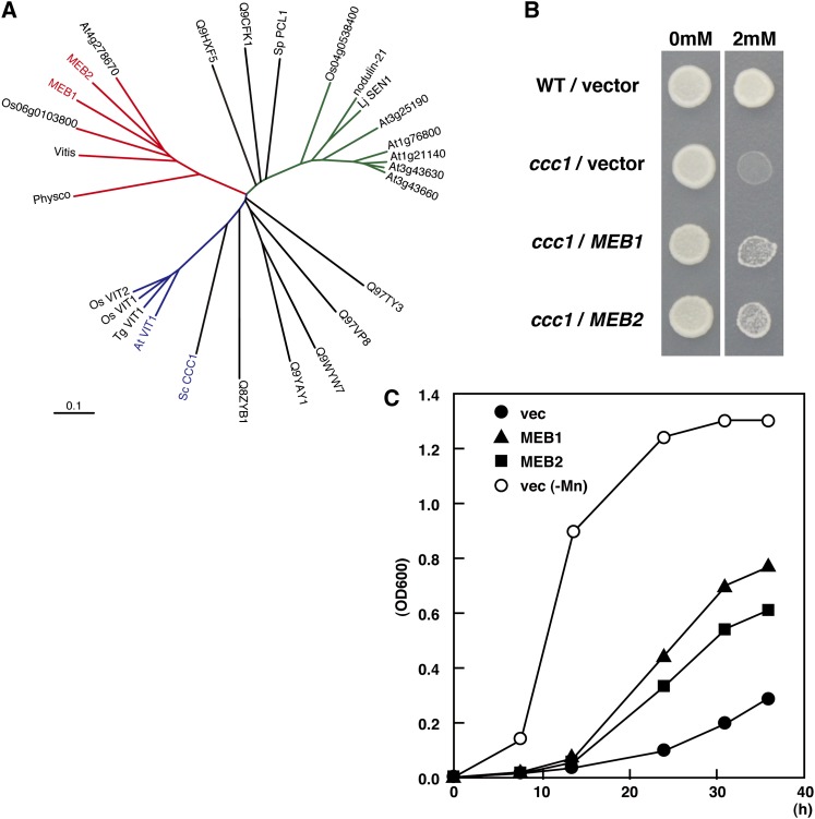 Figure 6.