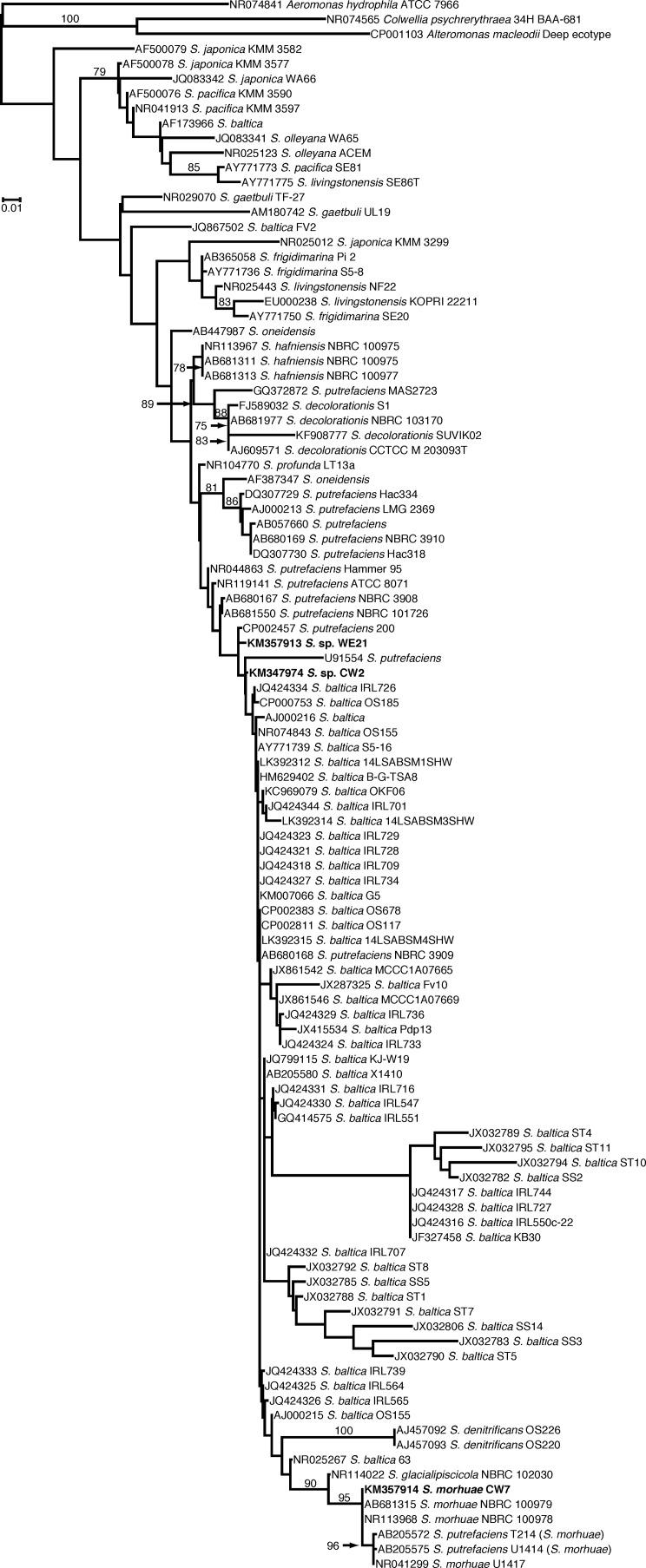 FIG 1