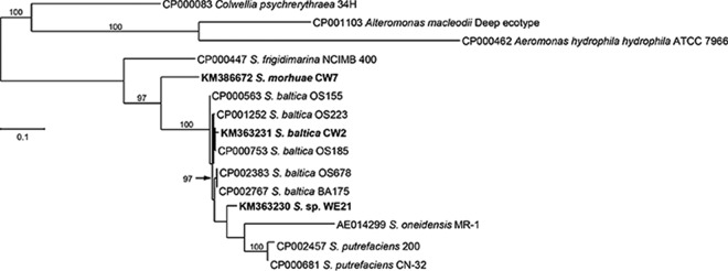 FIG 3