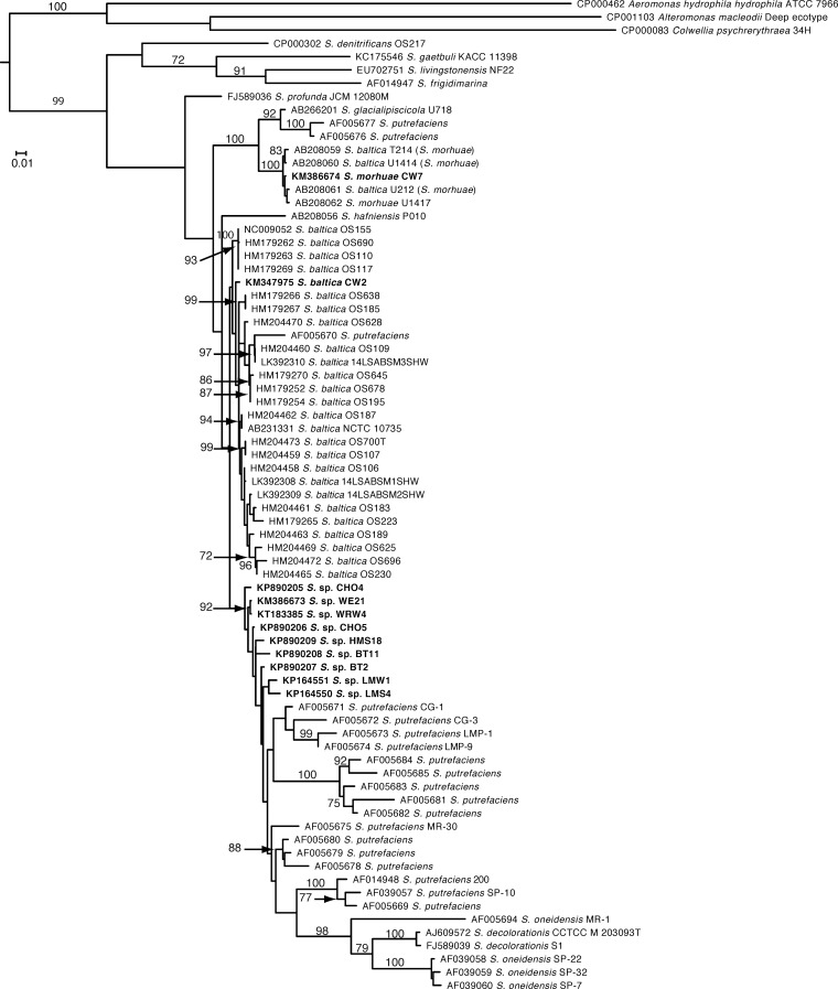 FIG 2