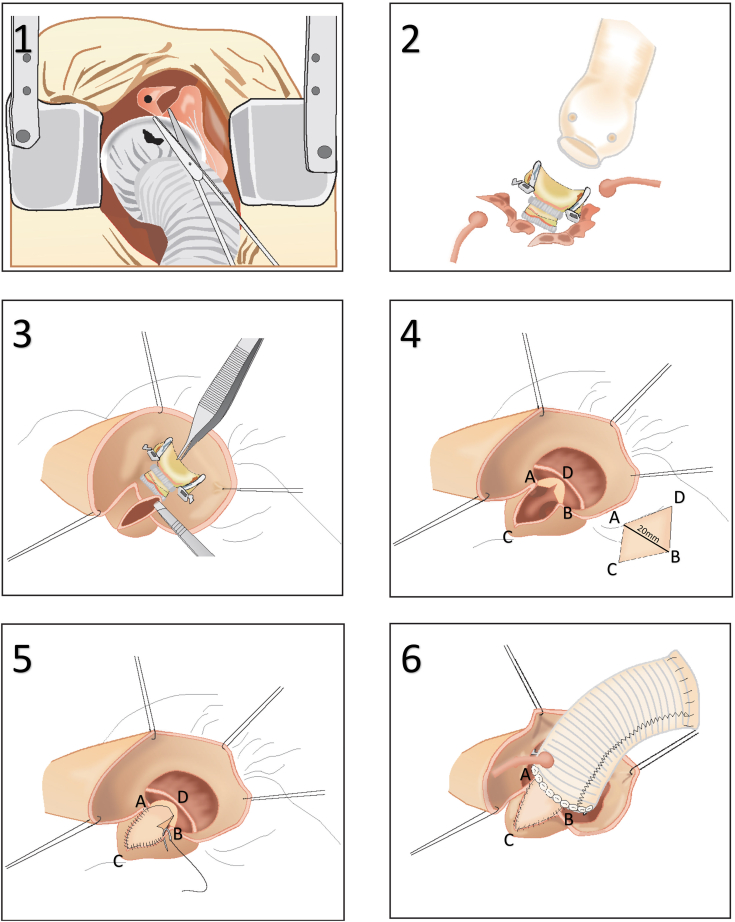 Figure 2