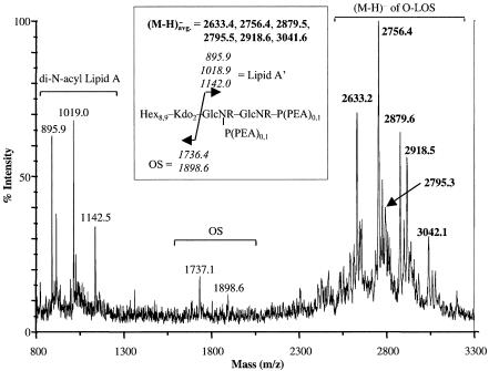 FIG. 4.