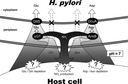 FIG. 6.