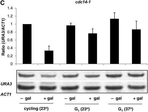 Figure 3.—