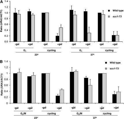 Figure 4.—