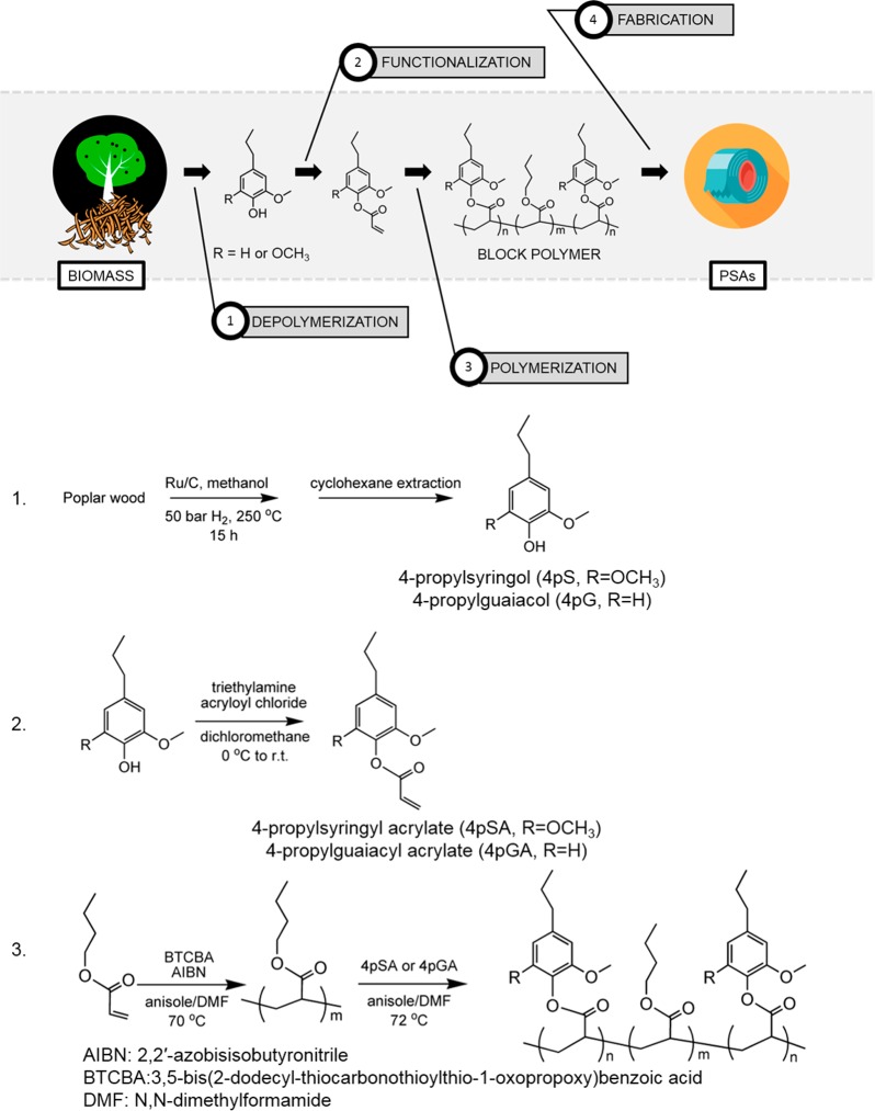 Scheme 1