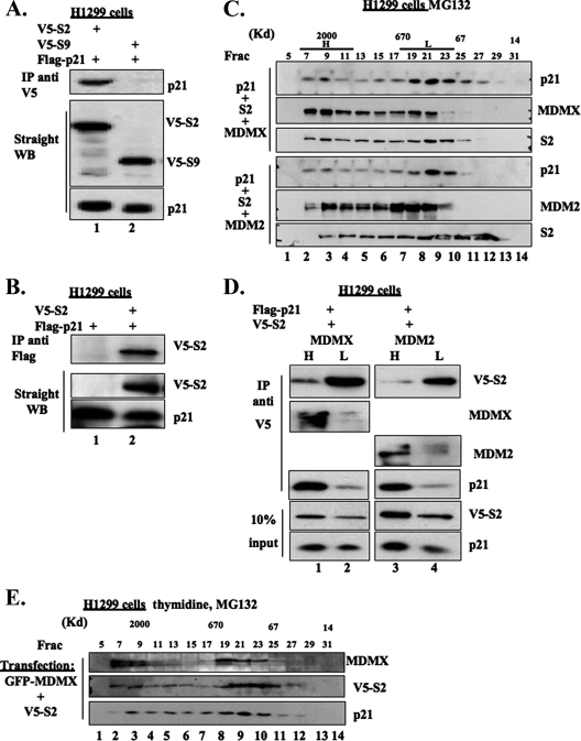 FIG. 6.