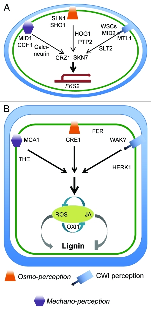 Figure 1.