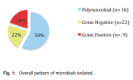 <b>Figure I</b>: Overall pattern of microbials isolated.