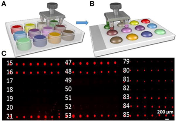 FIGURE 3