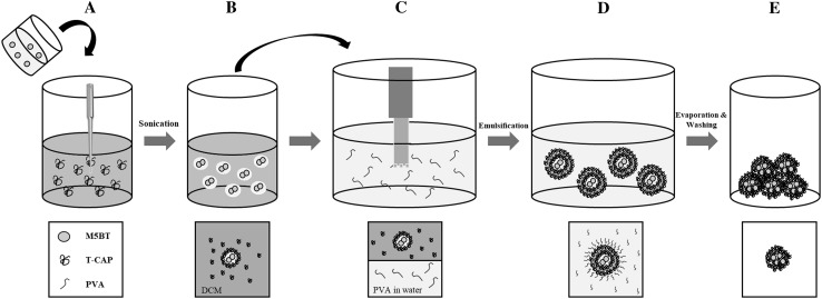 Fig. 1