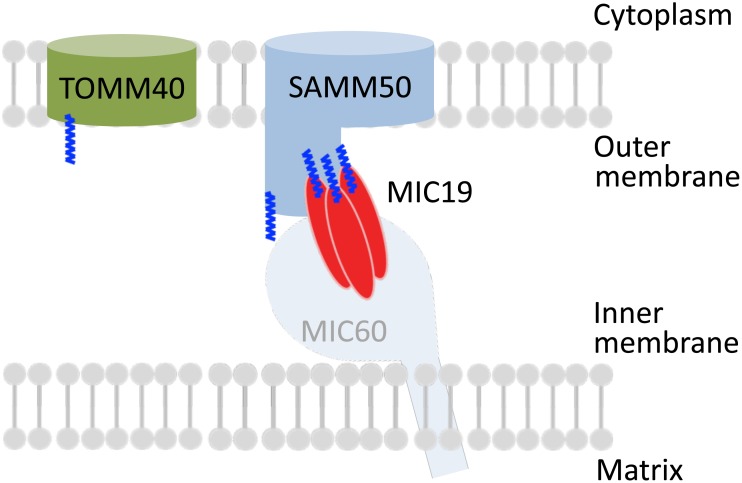 Fig 12