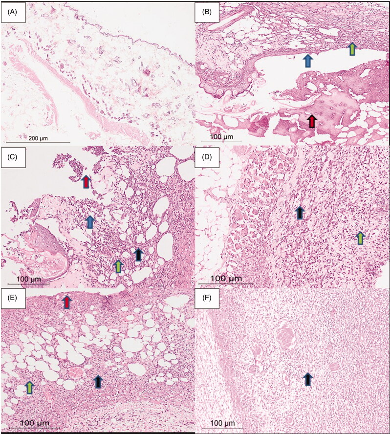 Figure 9.