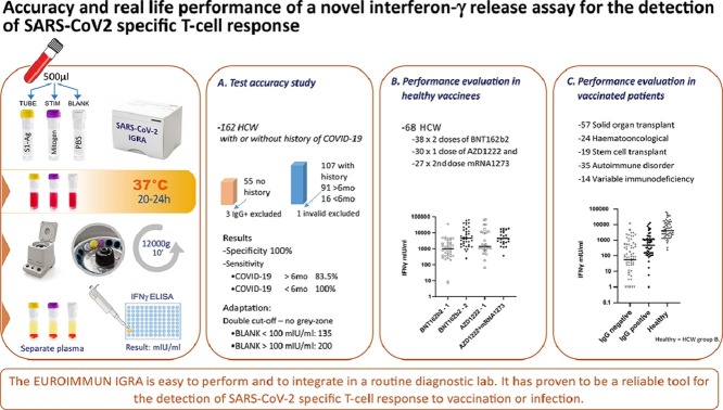 Image, graphical abstract