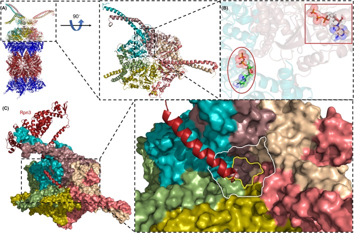 Figure 5