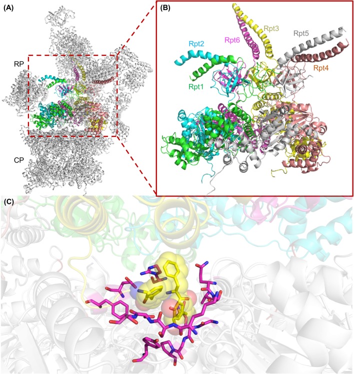 Figure 4