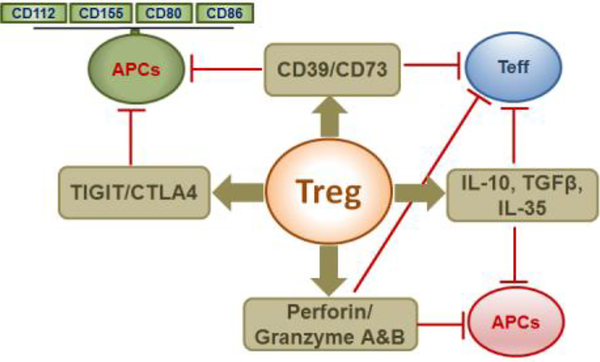 Figure-2: