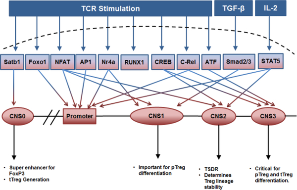 Figure-1: