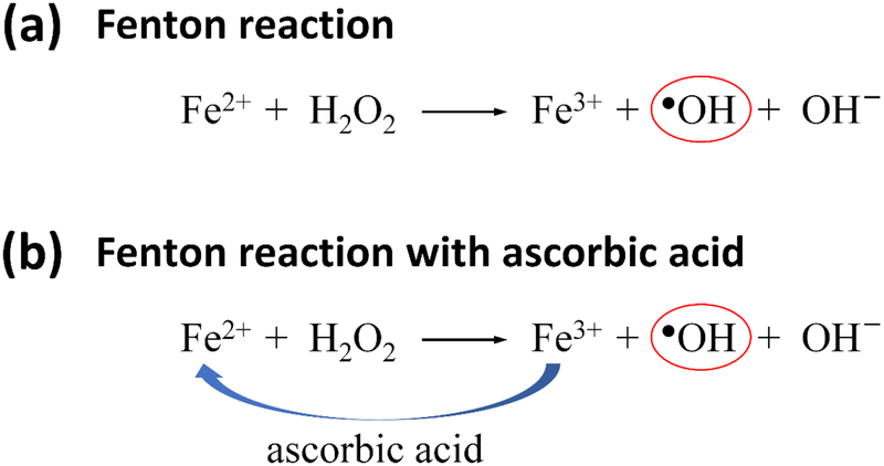 Scheme 1.