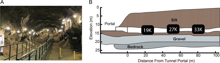 FIG 2