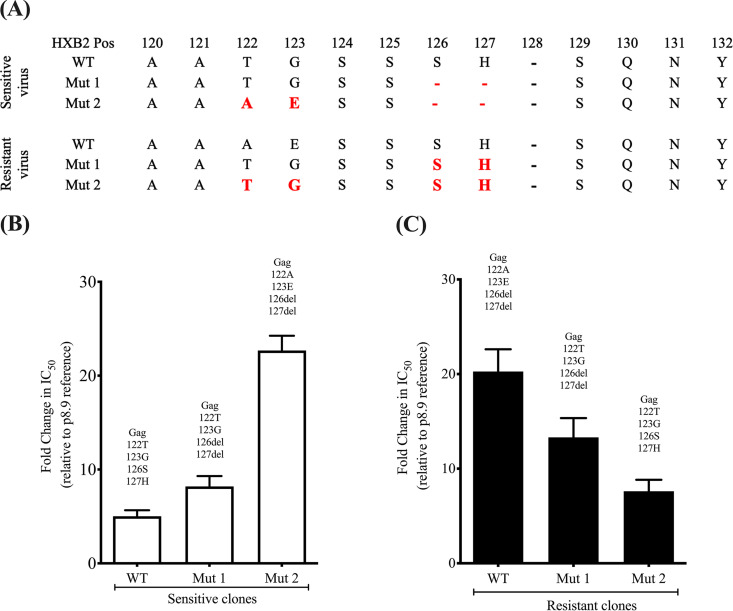 FIG 2