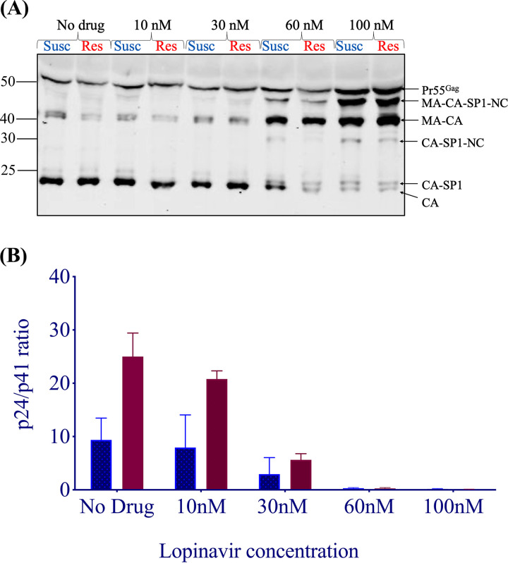 FIG 4