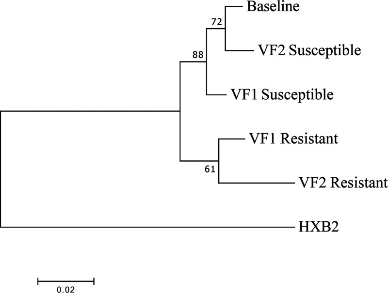 FIG 6