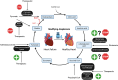 Graphical Abstract
