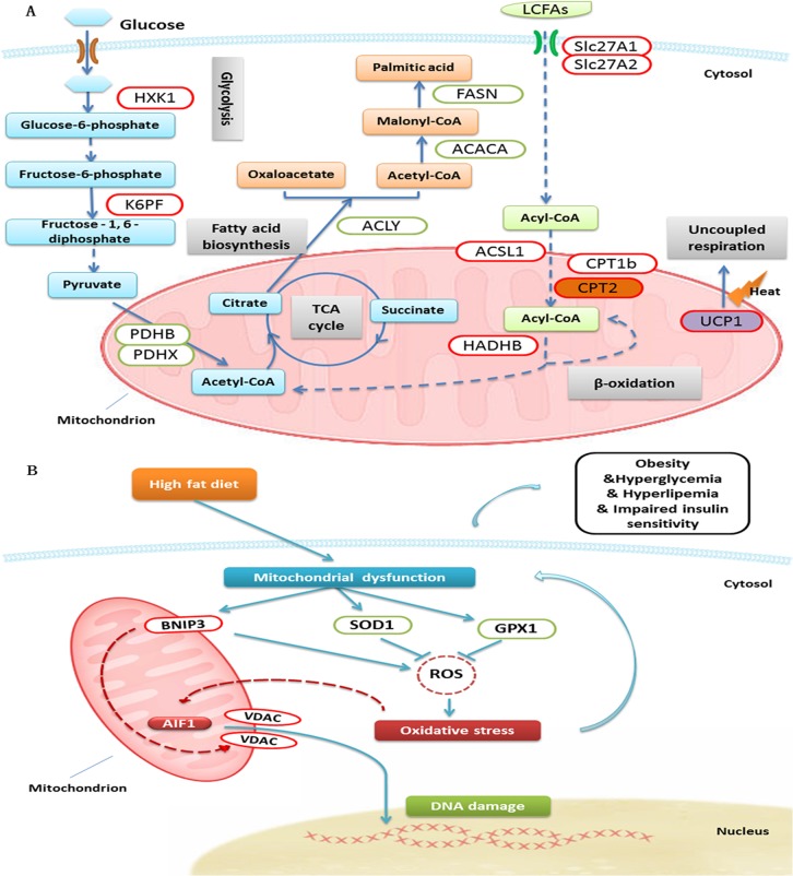 Fig 6