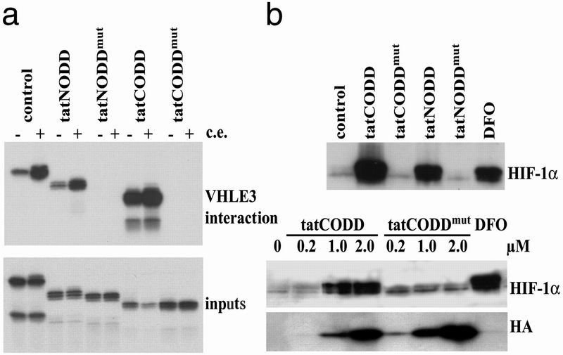 Fig 4.