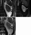 Fig. 6