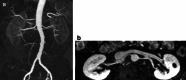 Fig. 8