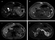 Fig. 7