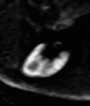 Fig. 9