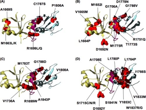 FIGURE 3.