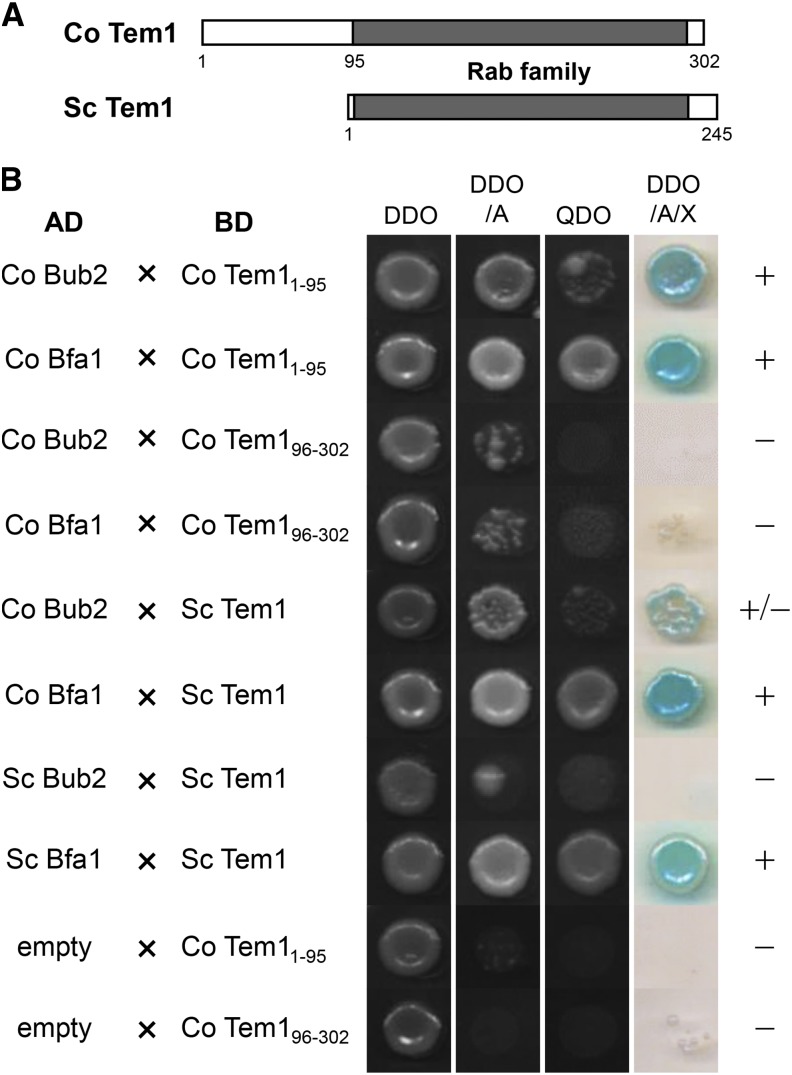 Figure 5.