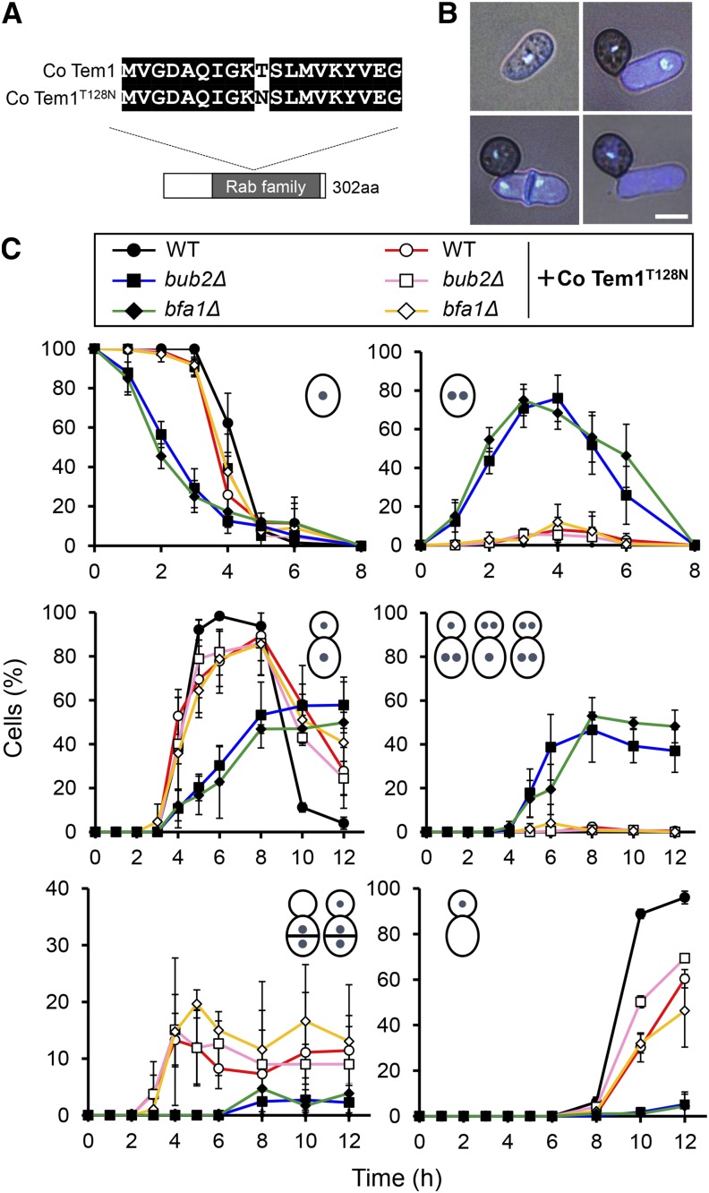 Figure 6.