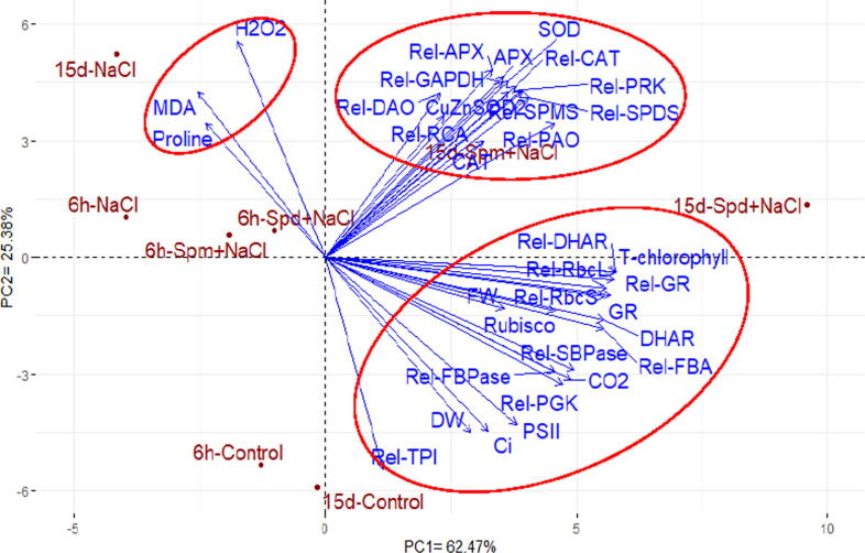 Fig. 8