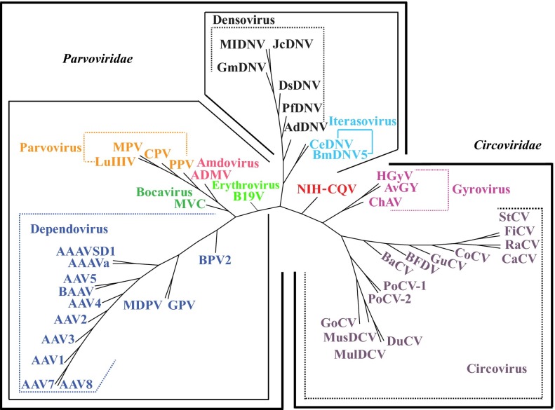 Fig. 3.